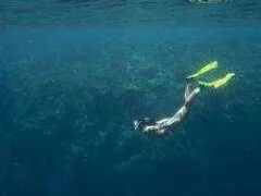 Snorkeling στο Ρέθυμνο