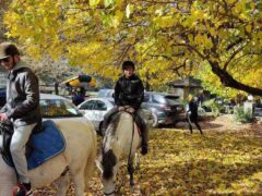 Horse riding in Tzoumerka