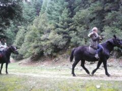 Horse riding in Elati, Arcadia