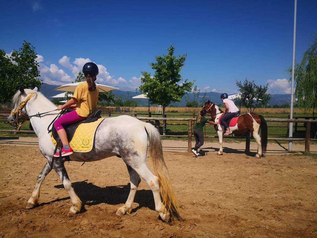 Riding lesson in Karditsa