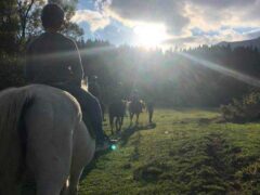 Βόλτα στο δάσος Περτουλίου με άλογα