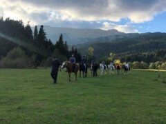 Ride in the forest of Pertoulion with horses