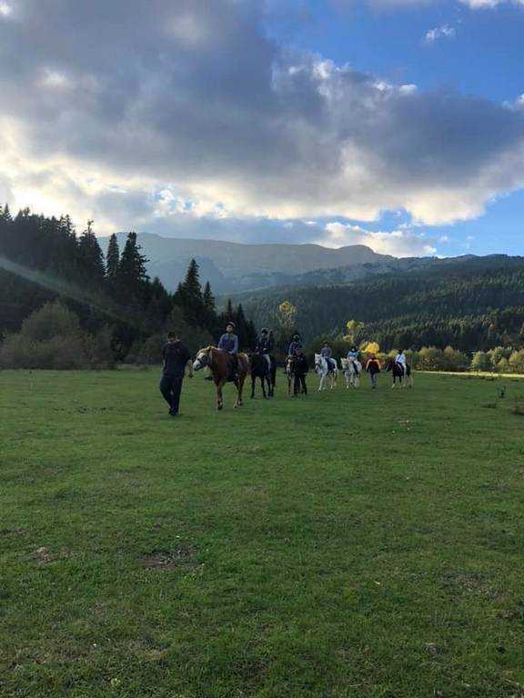 Ride in the forest of Pertoulion with horses