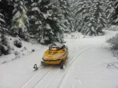 Βόλτα στο δάσος Περτουλίου με Snowmobile
