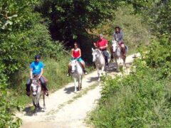 Horse riding in Splethro of Florina