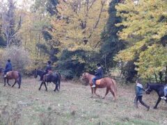 Horse riding in Elati, Arcadia