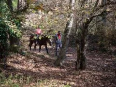 Horse riding in Karpenisi