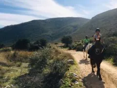 Horse riding in Penteli