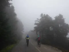 Mountain biking in Parnitha