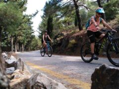 Εκδρομή με Mountain Bike Αθήνα – Σούνιο
