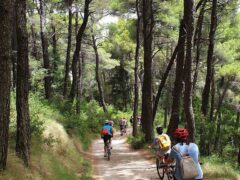 Ορεινή ποδηλασία στην Πάρνηθα