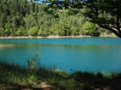 Πεζοπορία στο Κράθις – Λίμνη Τσίβλου