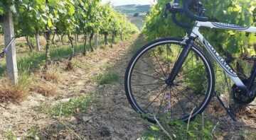 Cycling & wine tourism on the wine roads of Macedonia