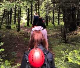 Hiking to the Fairy Spilia in Parnassos