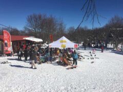 Ski / Snowboard in Vasilitsa