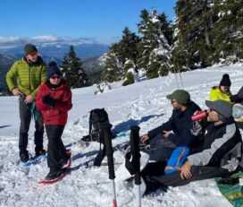 Ride with Snowmobiles at Parnassos