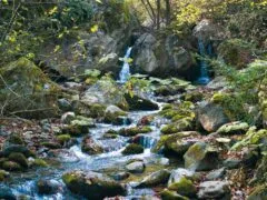 Eco tour to the Natural Springs in the Pieria Mountains