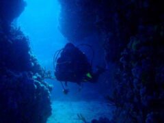 Discover scuba diving in Naxos