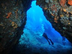Ανακαλύψτε το scuba diving στη Νάξο