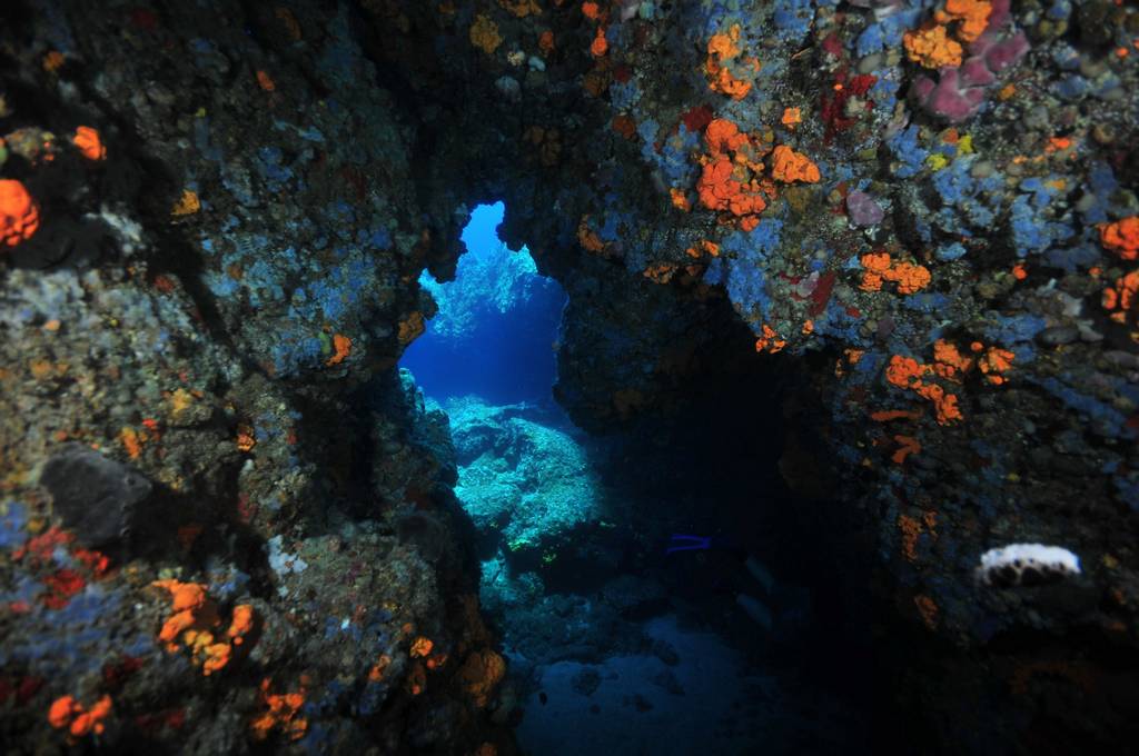 Ανακαλύψτε το scuba diving στη Νάξο