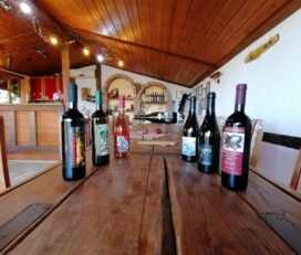 Weinverkostung und Bergsteigen in Pieria