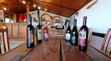 Degustazione di vini e alpinismo a Pieria