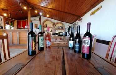 Degustazione di vini e alpinismo a Pieria