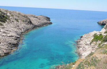 Snorkeling excursion from Tsilivi